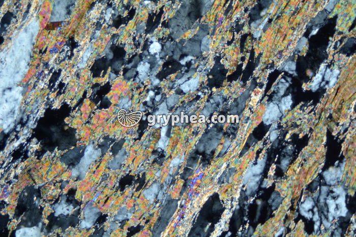 Micaschiste à sillimanite LPA x25 - gryphea.com